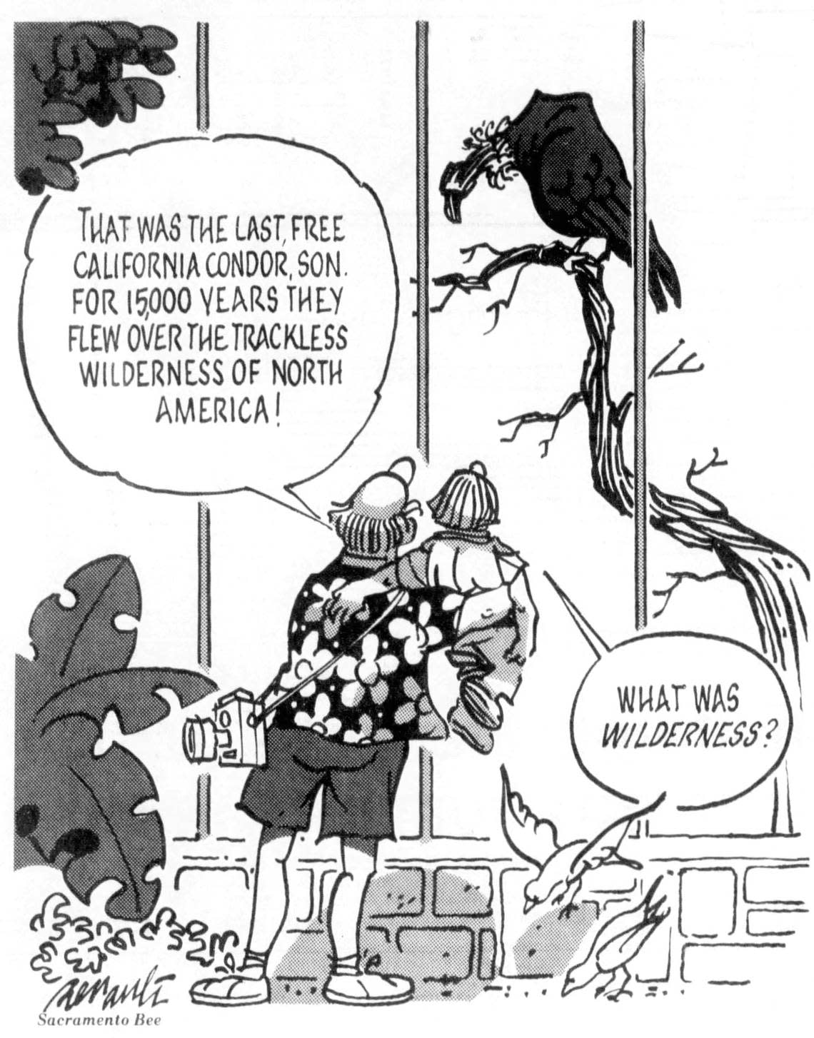 A 1987 Dennis Renault editorial cartoon envisions the last free California condor being visited in zoo by a child unfamiliar with the concept of wilderness. Environmental themes were common in Renault’s work, and while the last free condor was captured in 1987 the birds were reintroduced into the wild in 1991.