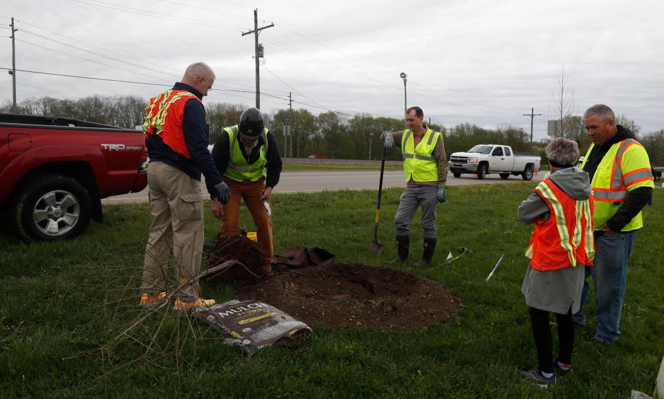 Tree Lafayette plants trees for Earth Day, Friday, April 21, 2023, at the Sagamore Parkway median in Lafayette, Ind. 