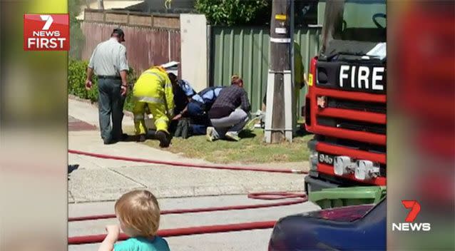 Emergency crews work to resuscitate the animals. Source: 7News