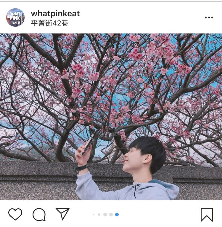 「平菁街42巷」迷人的櫻花景緻，不管怎麼拍都好看。   圖：翻攝自instagram whatpinkeat／開放權限