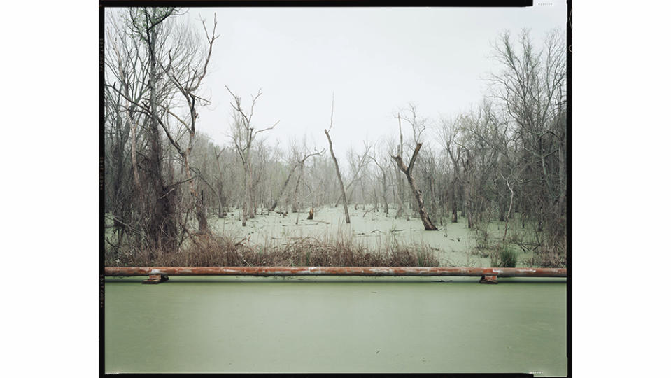 Richard Misrach, Swamp and Pipeline, Geismar, Louisiana, 1998, printed 2012, pigmented inkjet print. - Credit: Courtesy of Richard Misrach