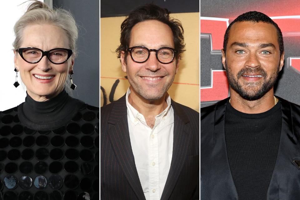 Meryl Streep; Paul Rudd; Jesse Williams