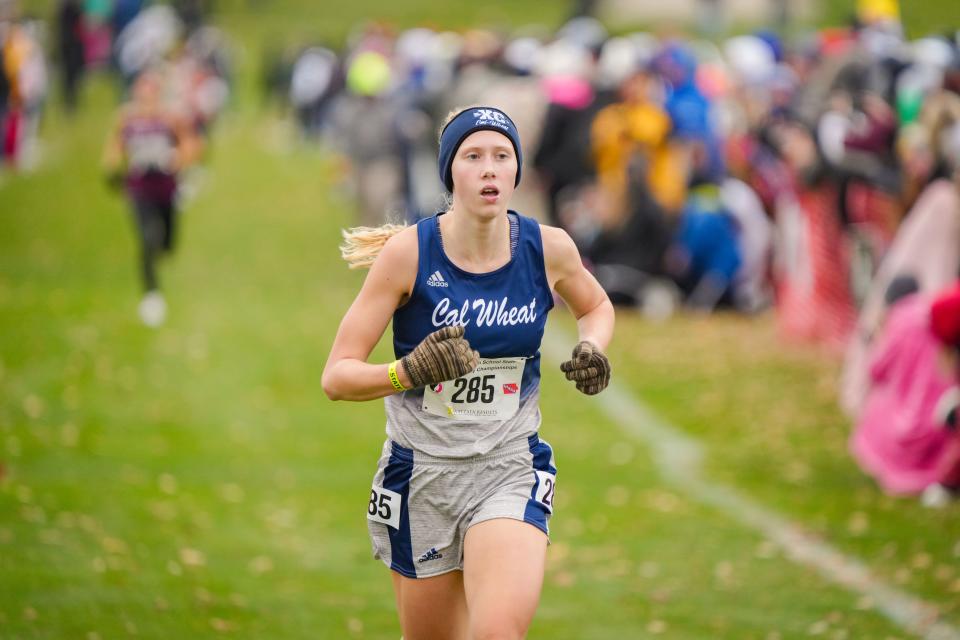 Noelle Steines of Calamus-Wheatland won the 1A girls state cross country championship in 2023.