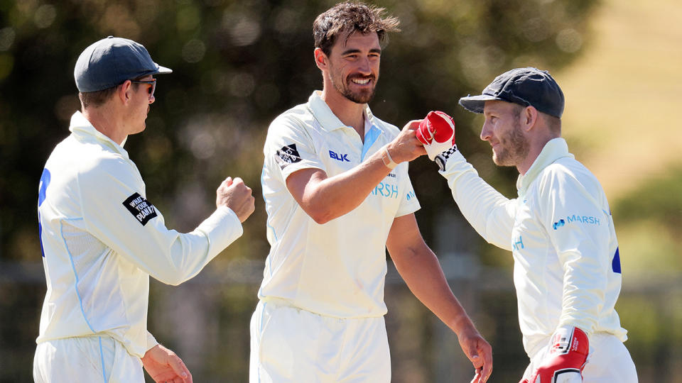 Mitchell Starc and Peter Nevill, pictured here celebrating NSW's win.