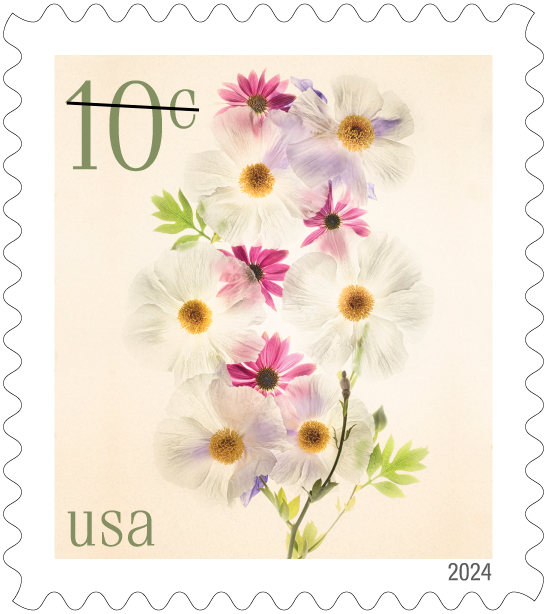 The U.S. Postal Service revealed dozens of stamp designs for 2024 on Oct. 23, with more to be unveiled soon. This is one of five low denomination stamps, each depicting a different flower. Pictured is a 10-cent stamp with an image of poppies and coneflowers.