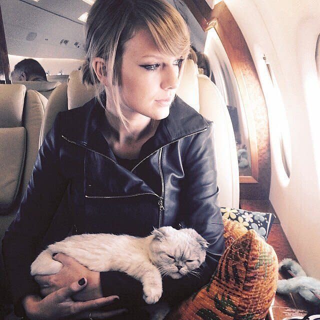For noted cat lady Taylor Swift, home is where her cats are, which is why Meredith Grey makes a <em>purr-</em>fect travel companion.