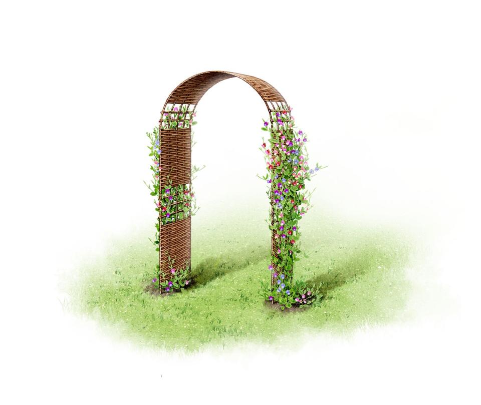 <p>An arch hand-crafted from natural materials is both pretty and stylish. And best of all, it only take a few minutes to put in place! To add some bucolic charm to your garden, try one which is made from woven willow and hazel. This style of arch will only support dainty, lightweight climbers, such as sweet peas.</p>