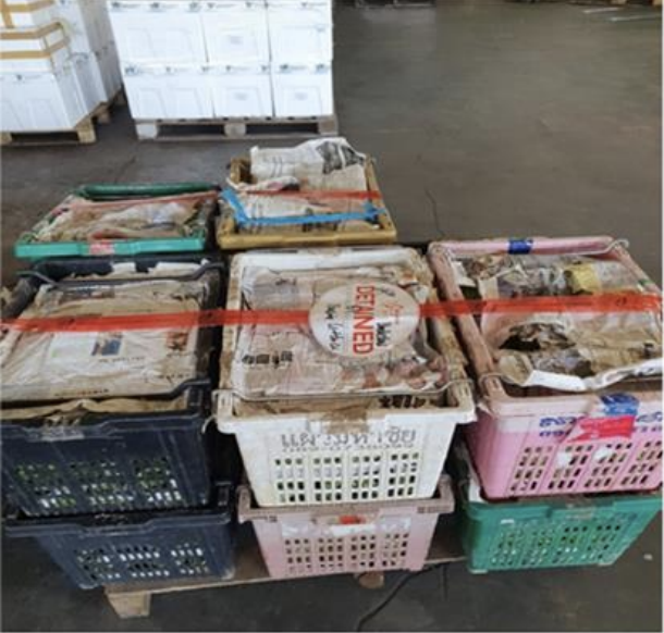 Seized consignments of illegal imported vegetables from GH Enterprise (Photo: SFA)