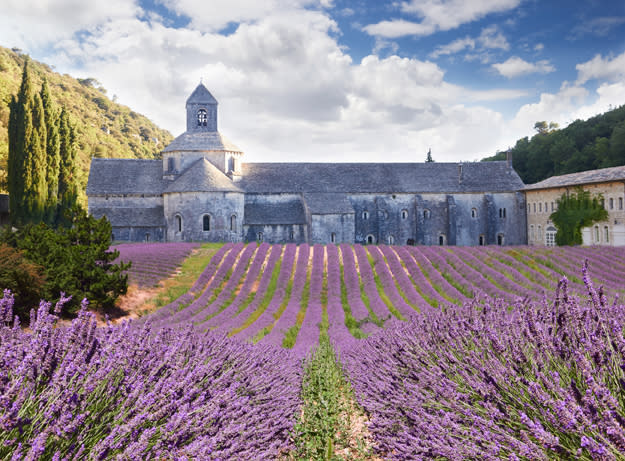 ▲雪儂克修道院是普羅旺斯旅遊明信片的取景所在。(圖/鳳凰旅遊)