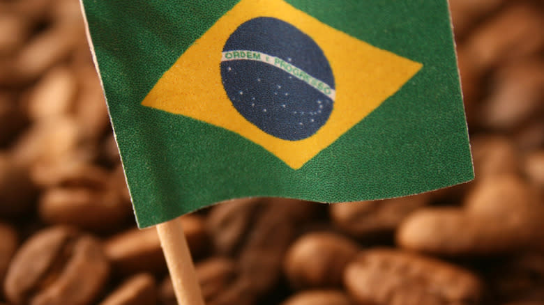 Why Brazil Is The Coffee Capital Of The World
