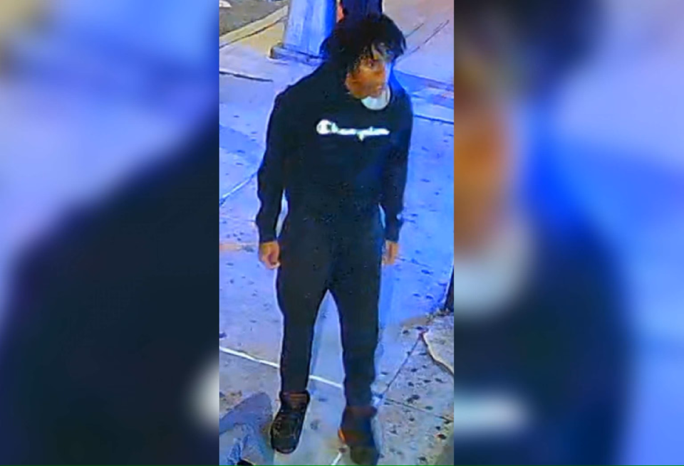 Police are searching for the suspect that they caught on camera stabbing the activist (NYPD)