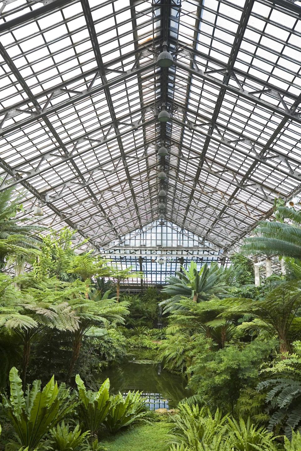 Inside of the Garfield Park Conservatory is located in the East Garfield Park neighborhood on Chicago's West Side.