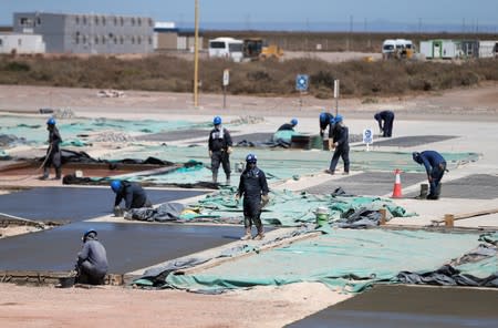 Employees work in a sand refinery at Vaca Muerta shale oil and gas drilling, in the Patagonian province of Neuquen