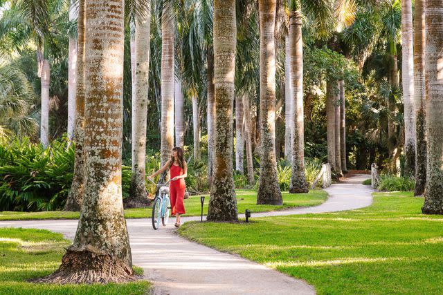 <p>Jessica Sample</p> McKee Botanical Garden in Vero Beach, FL