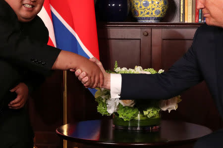 U.S. President Donald Trump shakes hands with North Korea's leader Kim Jong Un before their bilateral meeting at the Capella Hotel on Sentosa island in Singapore June 12, 2018. REUTERS/Jonathan Ernst