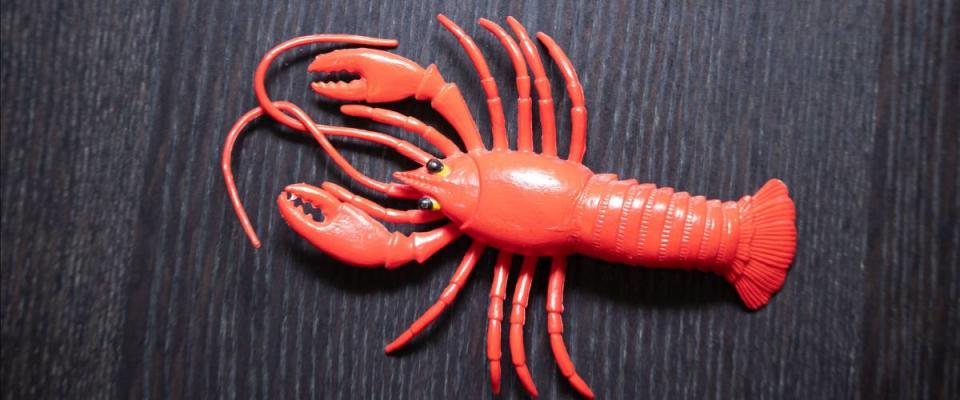 A plastic lobster like the ones in TJ's stores