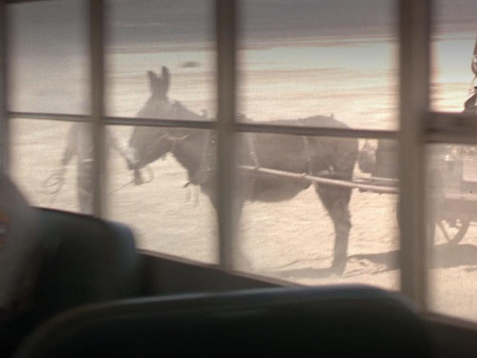 dule hill and a donkey in the background of a scene on a bus in holes