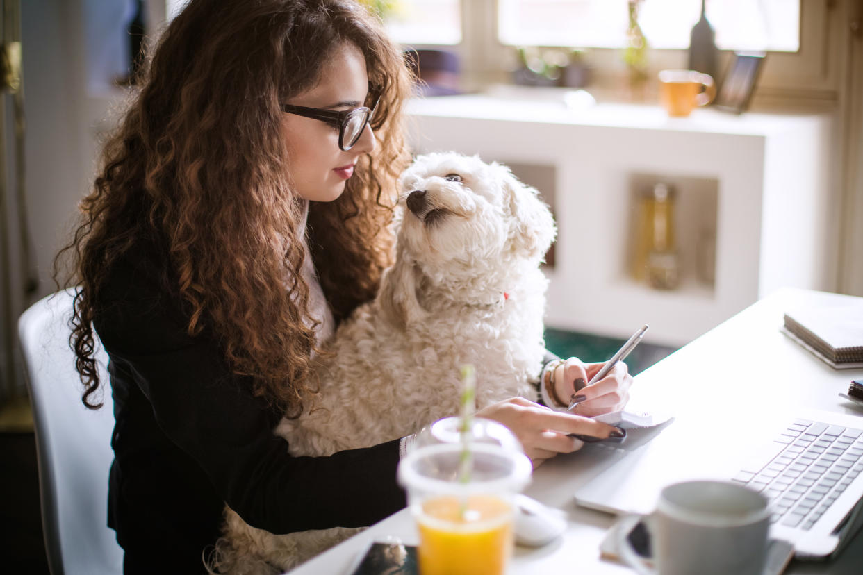 ¿Necesitas trabajar en casa pero tu adorado peludo no te deja? Esta solución te va a dejar tranquilo (Foto:Getty Images).