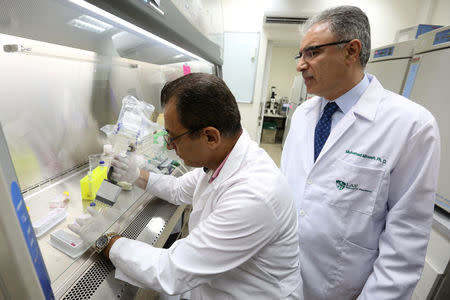 Professor Mohammad Mroueh and Professor Wassim Shebaby work in a lab room at the Byblos campus of the Lebanese American University, in Byblos, Lebanon August 1, 2018. Picture taken August 1, 2018. REUTERS/Aziz Taher