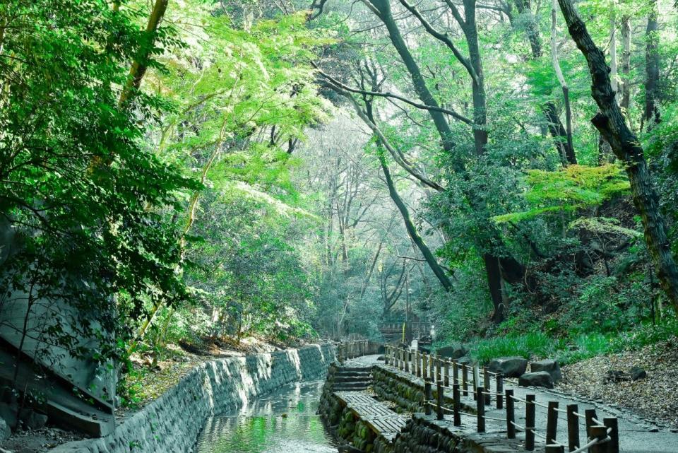 東京23區唯一的溪谷「等等力溪谷」。   圖：東京觀光事務所台灣辦事處／提供