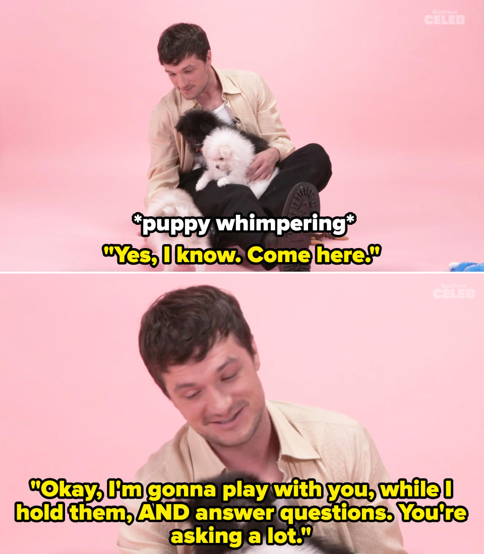 he tells the puppies, okay i'm gonna play with you while i hold them and answer questions, you're asking a lot