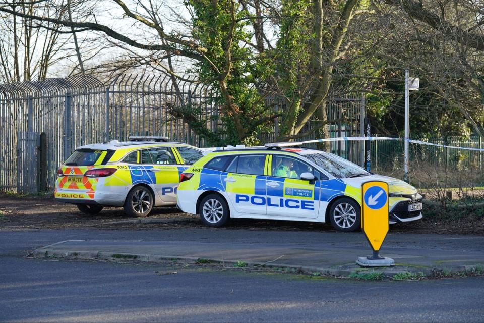 Police cars at the scene of the murder in Feltham (PA)