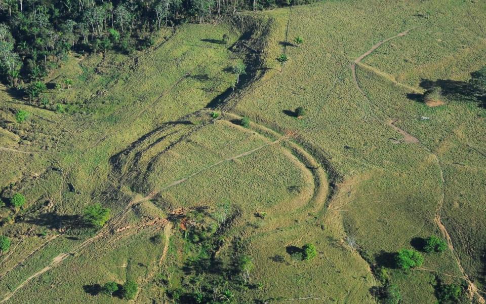 Hundreds of ancient earthworks resembling Stonehenge found in Amazon rainforest