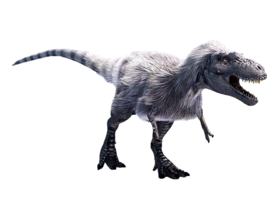 Albertosaurus, a serrated-tooth carnivore, roamed across Alberta millions of years ago. 