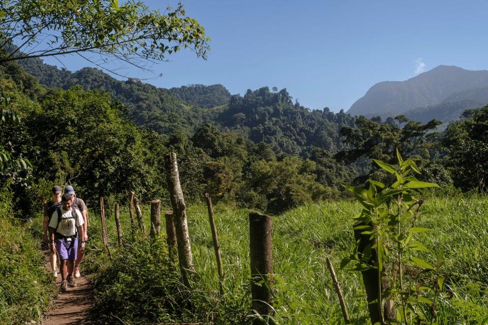 The hike takes visitors deep into remote Colombia (Alex Robinson)