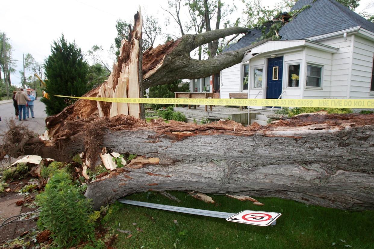 Emergency tape surrounds a damaged home with a large tree on the roof, caused by a tornado in Leamington, Ont., Sunday, June 6, 2010.   (Dave Chidley/The Canadian Press - image credit)