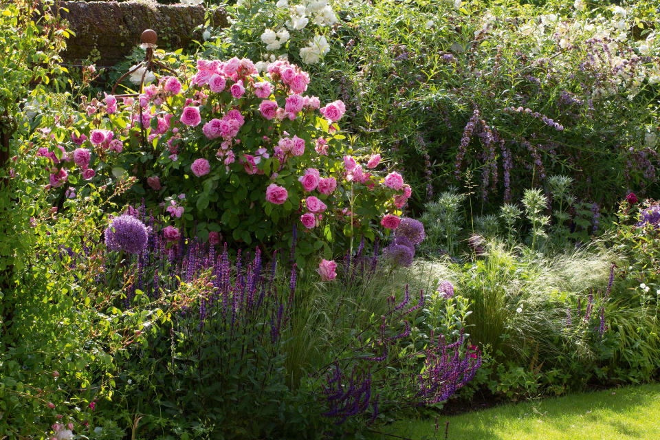 10. Grow a rose over an obelisk to give height to borders