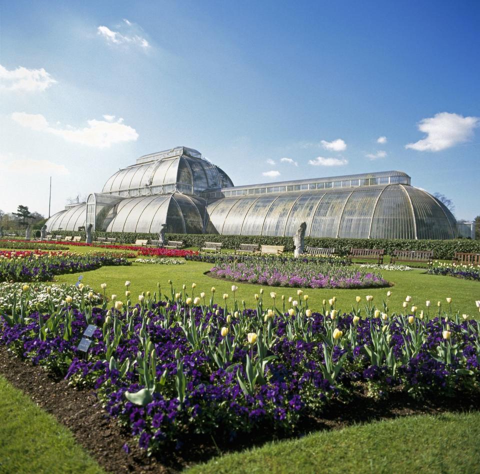 <p>This world-famous site is definitely worth a visit if you're in the city. With over 50,000 plants, breathtaking displays on year-round (not to mention <a href="https://www.housebeautiful.com/uk/garden/a32955912/christmas-at-kew/" rel="nofollow noopener" target="_blank" data-ylk="slk:Christmas at Kew;elm:context_link;itc:0;sec:content-canvas" class="link ">Christmas at Kew</a>), a beautiful Victorian glasshouse and a stunning rose garden, it really does provide a wonderful day out. </p><p><a class="link " href="https://www.kew.org/" rel="nofollow noopener" target="_blank" data-ylk="slk:BOOK NOW;elm:context_link;itc:0;sec:content-canvas">BOOK NOW</a></p><p><strong>READ MORE</strong>: <a href="https://www.housebeautiful.com/uk/garden/a32955912/christmas-at-kew/" rel="nofollow noopener" target="_blank" data-ylk="slk:Christmas at Kew 2020: dates, tickets, lights trail and new coronavirus measures;elm:context_link;itc:0;sec:content-canvas" class="link ">Christmas at Kew 2020: dates, tickets, lights trail and new coronavirus measures</a> </p>