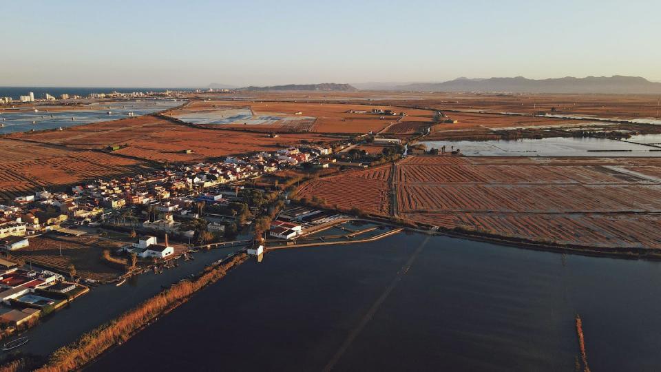 El Palmar, en la Albufera de Valencia (España). Los pesticidas empleados en los campos de arroz afectan a los ecosistemas acuáticos. <a href="https://www.shutterstock.com/es/image-photo/el-palmar-lalbufera-valencia-spain-1863435853" rel="nofollow noopener" target="_blank" data-ylk="slk:Ruben Hornillo / Shutterstock;elm:context_link;itc:0;sec:content-canvas" class="link ">Ruben Hornillo / Shutterstock</a>