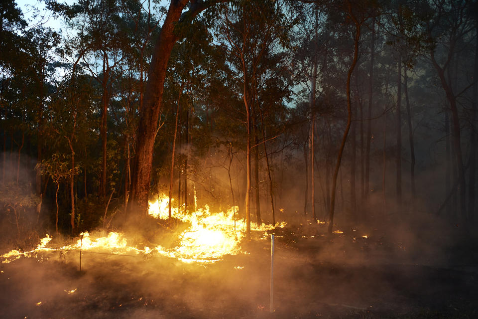 A bushfire is pictured along Putty Road on November 15, 2019 in Colo Heights, Australia. The warning has been issued for a 80,000-hectare blaze at Gospers Mountain, which is burning in the direction of Colo Heights. An estimated million hectares of land has been burned by bushfire across Australia following catastrophic fire conditions - the highest possible level of bushfire danger - in the past week. A state of emergency was declared by NSW Premier Gladys Berejiklian on Monday 11 November and is still in effect, giving emergency powers to Rural Fire Service Commissioner Shane Fitzsimmons and prohibiting fires across the state. Four people have died following the bushfires in NSW this week. (Photo by Brett Hemmings/Getty Images)