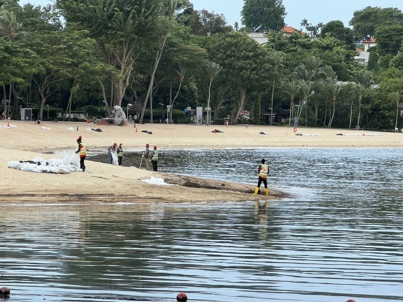 聖淘沙海灘遭油污污染 展開清理作業 新加坡日前發生船隻事故造成油料外洩，旅遊景點聖 淘沙海灘受到污染，相關單位關閉部分海灘進行清理 作業。 中央社記者吳昇鴻新加坡攝  113年6月20日 