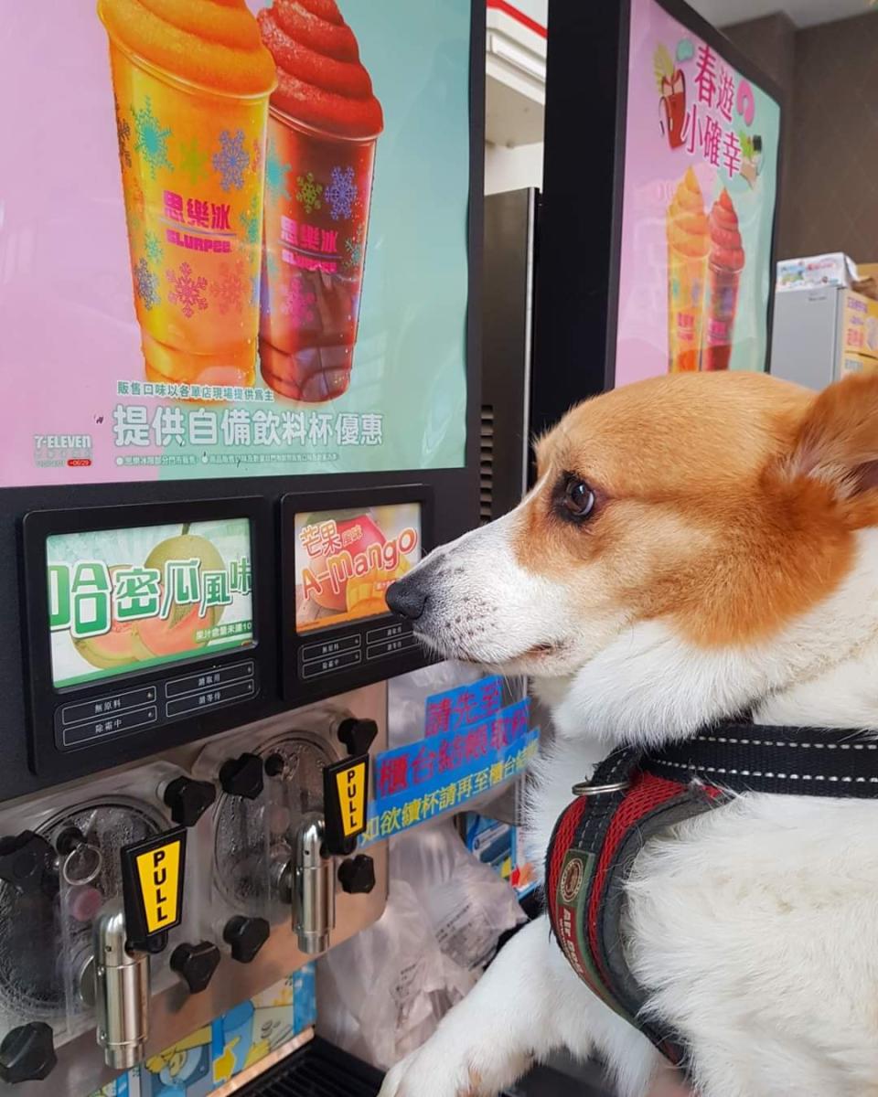 部落客針對思樂冰機台全數撤出，表示很難過。（圖／翻攝自柯基犬のCoffee Time臉書）