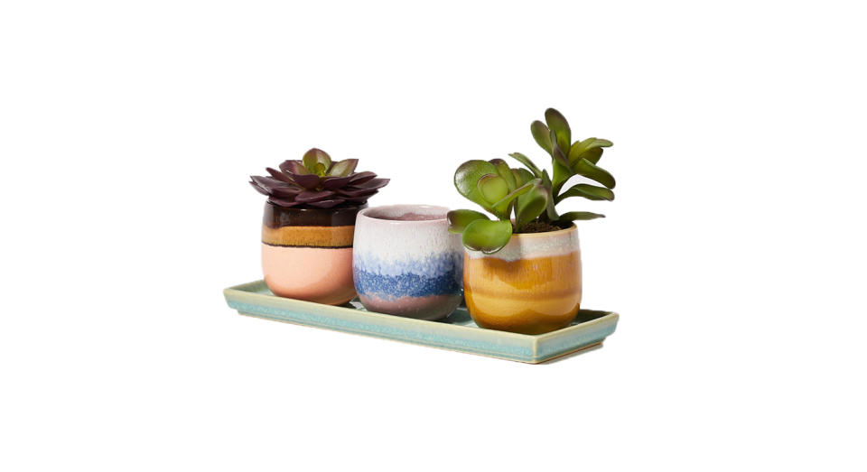 Suelo Ceramic Mini Plant Pots Set of Three
