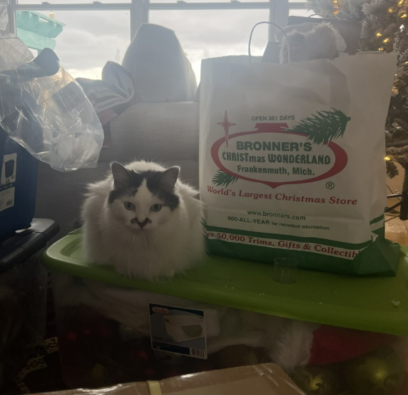 Having a cat and a bag full of goodies from Bronner's makes tree decorating so much easier.