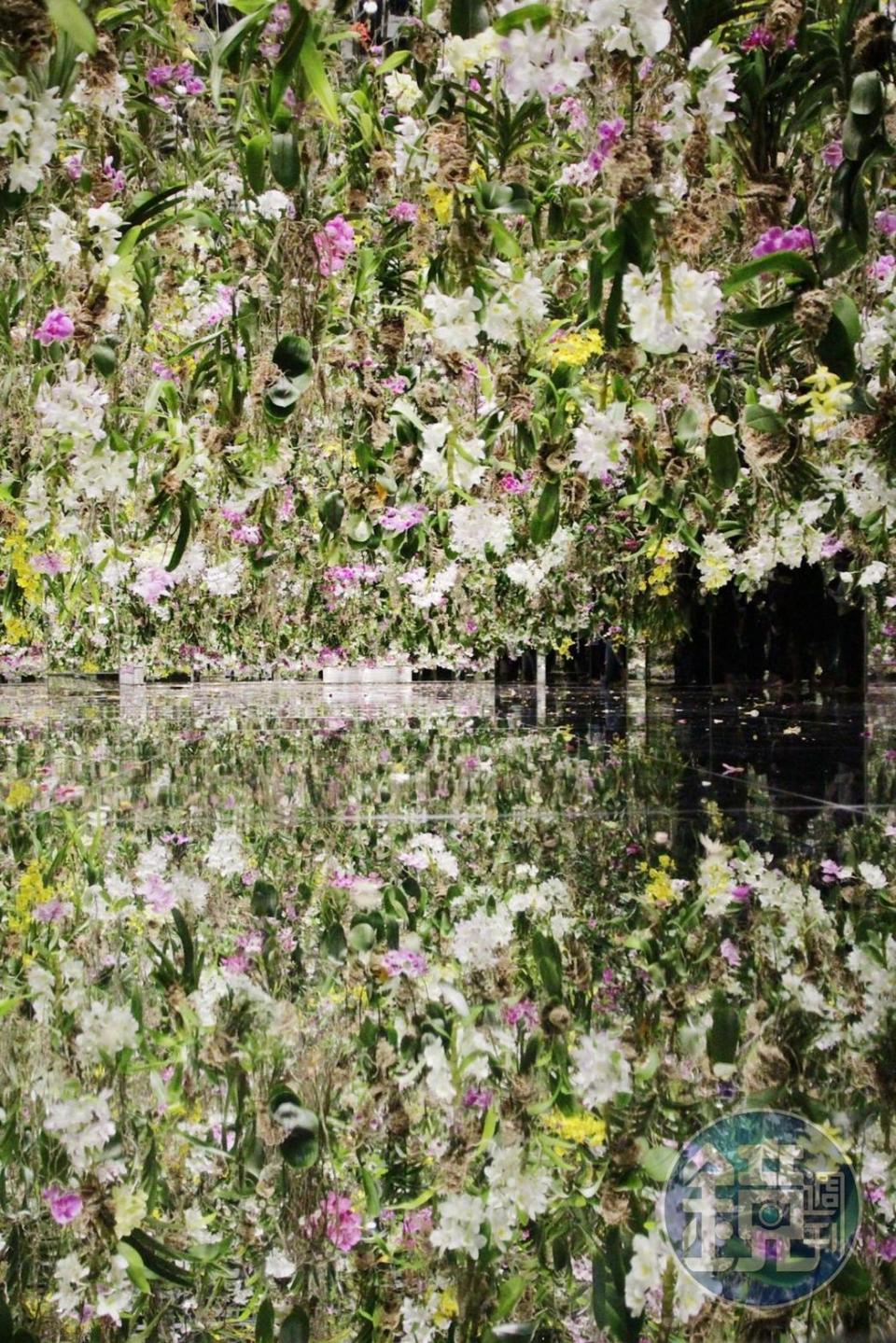 《漂浮的花園》中有總計一萬多株的蘭花，在鏡面空間中齊綻放。