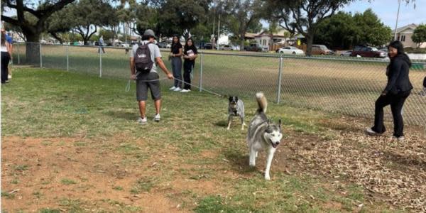 Barrio Logan da la bienvenida a su primer parque para perros