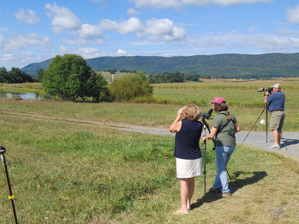 People take photos of a flamingo that landed on a pond in St. Thomas Township after being blown off course by a recent hurricane, on Wednesday, Sept. 13, 2023, The flamingo came with a mate, but that one is being treated at a wildlife center in Lancaster County after a snapping turtle injured it.