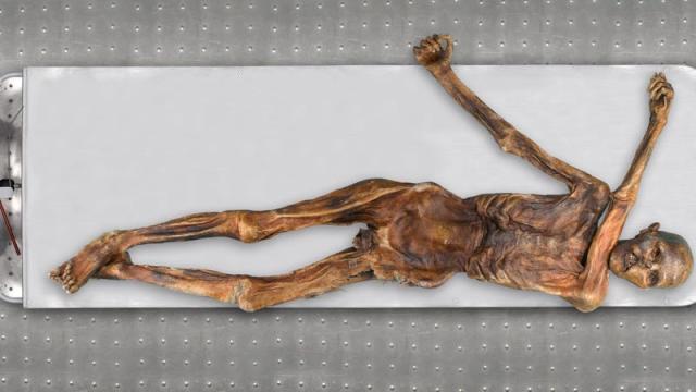 Genetic Analysis of 'Ötzi the Iceman' Reveals Ancient Mummy's Ancestry