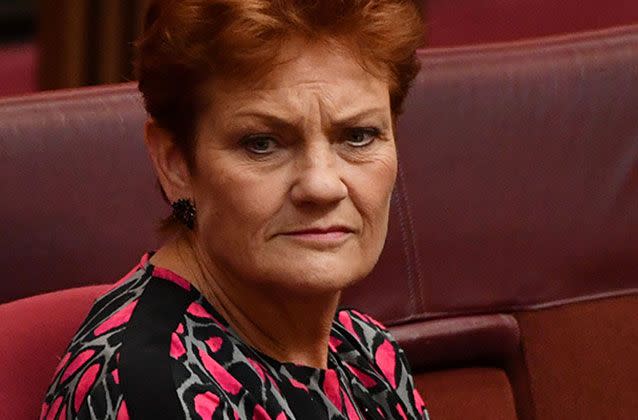 Pauline Hanson is accused of failing to declare to Parliament a Queensland farmstay cottage she appeared to be commercially leasing online.