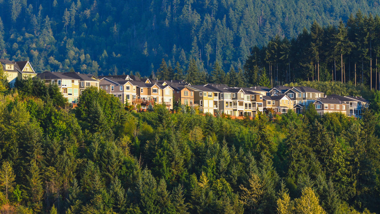 The houses in the forest.