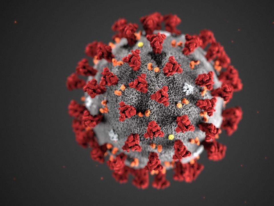 FILE - This illustration provided by the Centers for Disease Control and Prevention (CDC) in January 2020 shows the 2019 Novel Coronavirus (2019-nCoV). Health officials hope to avoid stigma and error in naming the virus causing an international outbreak of respiratory illnesses. But some researchers say the current moniker, 2019 nCoV, which stands for 2019 novel coronavirus, probably won't stick in the public's mind. (CDC via AP, File)