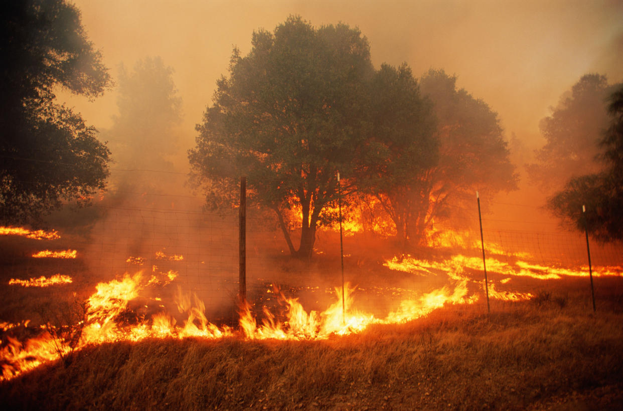 Sonoma County, California, USA