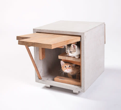 Cat Architecture 5