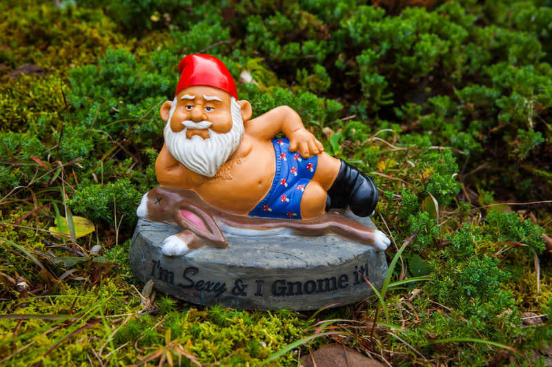 What's the key to being sexy? Confidence even in the face of reality. This <a href="http://www.bzanyparty.com/Catalog/ProductDetails.aspx?id=65189&amp;category=0" target="_blank">"sexy garden gnome"</a> is sure to be appreciated by&nbsp;aficionados of bizarre outdoor ornaments.