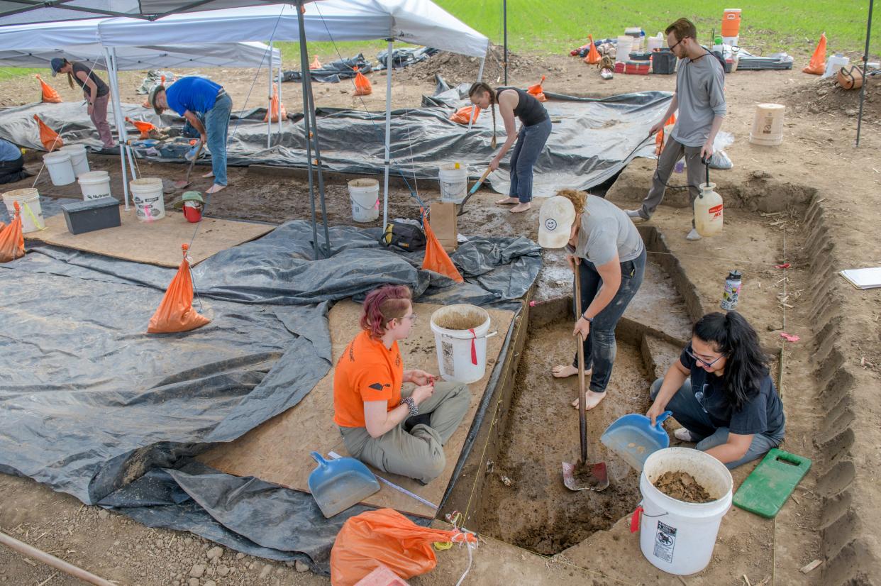 Archaeologists and archaeology students search for artifacts Wednesday, June 7, 2023 at the site of a 600-year-old Native American settlement in a farm field off Spring Bay Road in East Peoria. Archaeologist Dana Bardolph and her students joined UC-Santa Barbara professor of anthropology Greg Wilson and archaeologists from the Illinois State Archaeological Survey to excavate the site this summer after mapping it last fall.