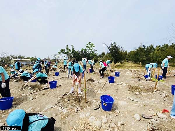 林業及自然保育署台中分署結合科技業在台中海岸線植下台灣原生種樹木。